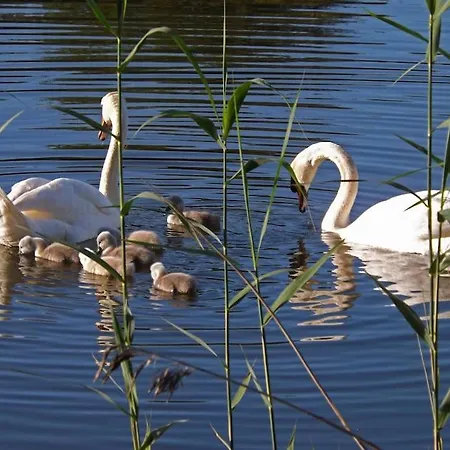 Primera Linea Playa De Ris