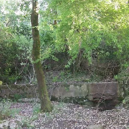 Primera Linea Playa De Ris Apartamento Noja