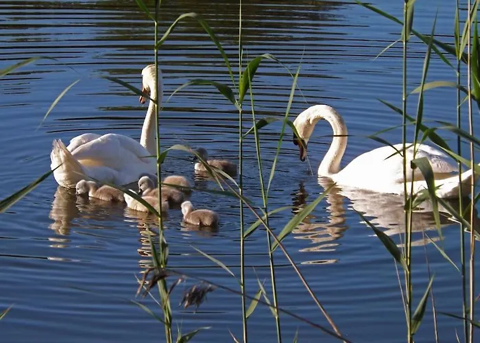 Primera Linea Playa De Ris