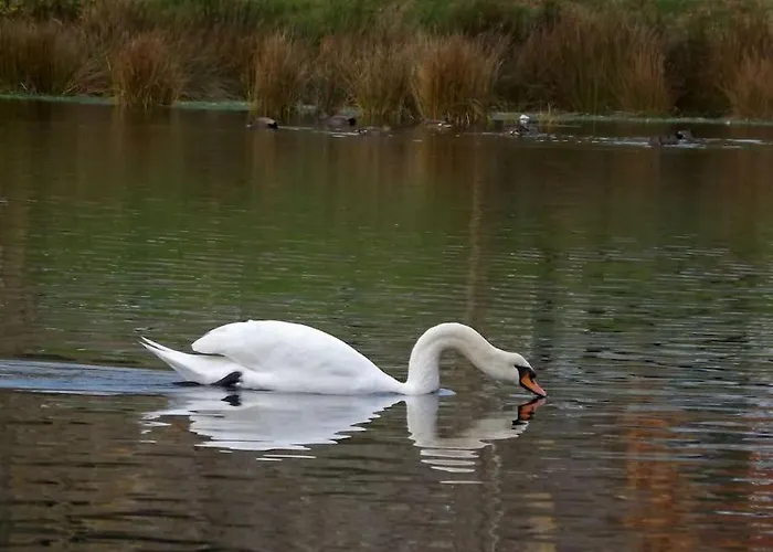 Appartement Primera Linea Playa De Ris *