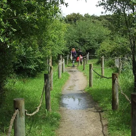 Primera Linea Playa De Ris Lägenhet