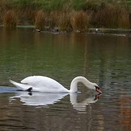 Lägenhet Primera Linea Playa De Ris *