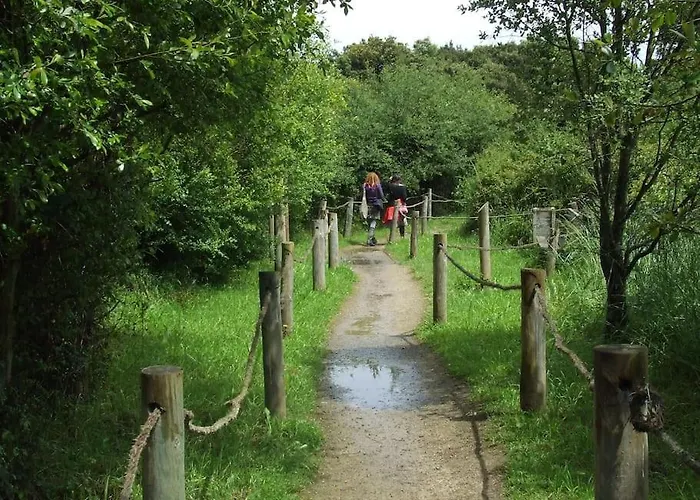 Primera Linea Playa De Ris Apartment